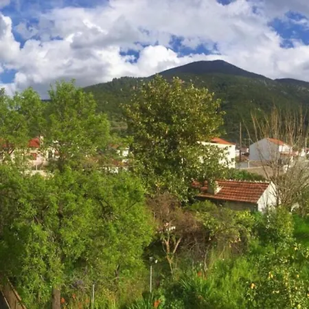 Alexi's Apartment. 1 Minute Walk To The Beach. * Sami (Kefalonia)